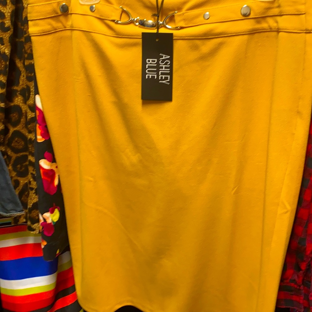 NWT gold skirt size xl by Ashley Blue